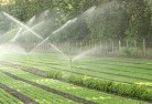 Torrensville Plazalandscaping-irrigation-11.jpg; ?>
